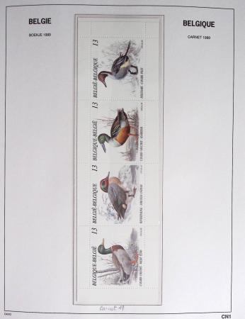 1849-2014 Attractive and extensive collection of Belgium