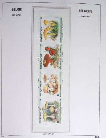 1849-2014 Attractive and extensive collection of Belgium