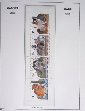 1849-2014 Attractive and extensive collection of Belgium