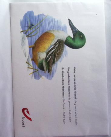 1849-2014 Attractive and extensive collection of Belgium