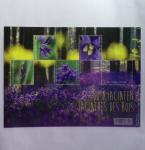 1849-2014 Attractive and extensive collection of Belgium