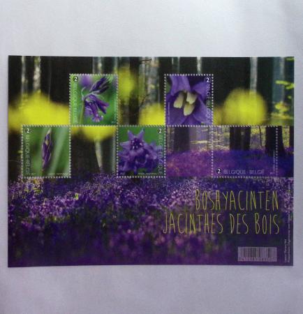 1849-2014 Attractive and extensive collection of Belgium