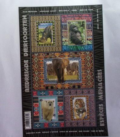 1849-2014 Attractive and extensive collection of Belgium