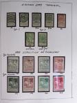 1849-2014 Attractive and extensive collection of Belgium
