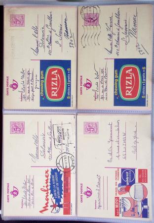 1849-2014 Attractive and extensive collection of Belgium