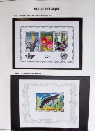 1849-2014 Attractive and extensive collection of Belgium