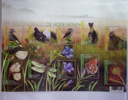 1849-2014 Attractive and extensive collection of Belgium