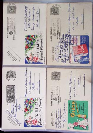 1849-2014 Attractive and extensive collection of Belgium