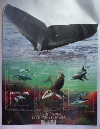 1849-2014 Attractive and extensive collection of Belgium