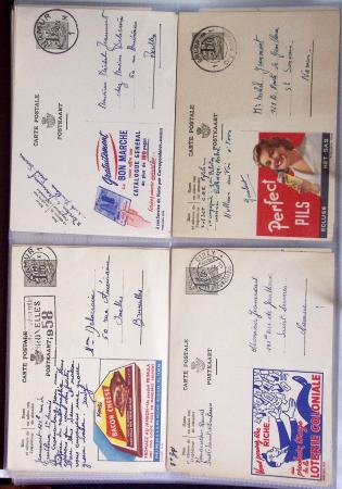 1849-2014 Attractive and extensive collection of Belgium