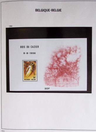 1849-2014 Attractive and extensive collection of Belgium