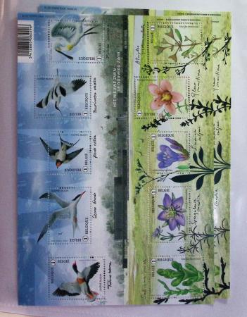 1849-2014 Attractive and extensive collection of Belgium