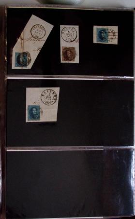 1849-2014 Attractive and extensive collection of Belgium