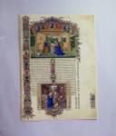 1849-2014 Attractive and extensive collection of Belgium