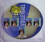 1849-2014 Attractive and extensive collection of Belgium