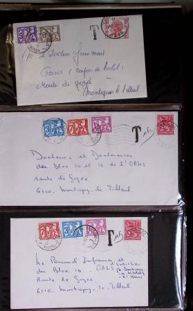 1849-2014 Attractive and extensive collection of Belgium