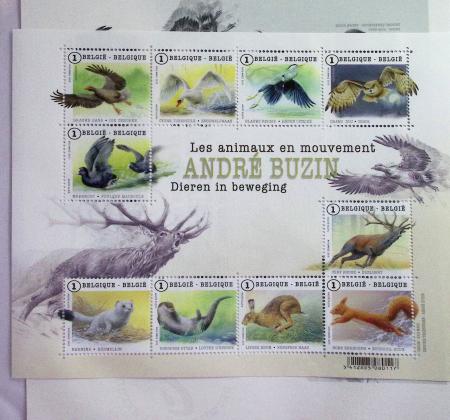 1849-2014 Attractive and extensive collection of Belgium