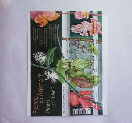 1849-2014 Attractive and extensive collection of Belgium