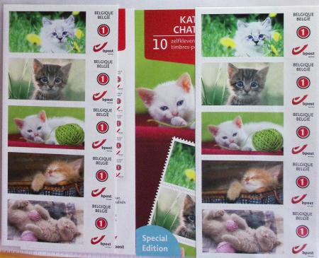 1849-2014 Attractive and extensive collection of Belgium