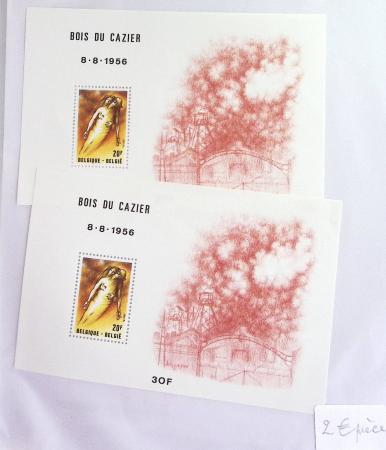 1849-2014 Attractive and extensive collection of Belgium