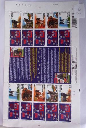 1849-2014 Attractive and extensive collection of Belgium