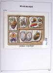 1849-2014 Attractive and extensive collection of Belgium