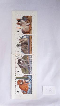 1849-2014 Attractive and extensive collection of Belgium