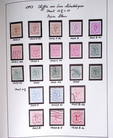 1849-2014 Attractive and extensive collection of Belgium