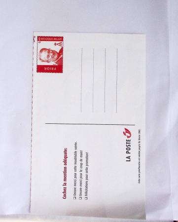 1849-2014 Attractive and extensive collection of Belgium