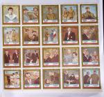 1849-2014 Attractive and extensive collection of Belgium