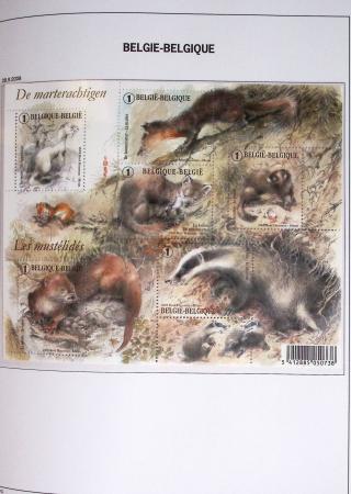 1849-2014 Attractive and extensive collection of Belgium