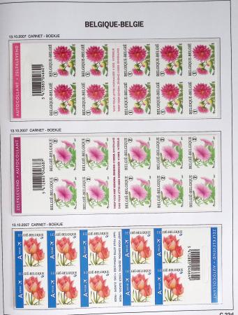 1849-2014 Attractive and extensive collection of Belgium