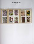 1849-2014 Attractive and extensive collection of Belgium