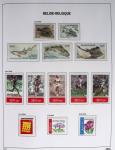 1849-2014 Attractive and extensive collection of Belgium