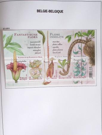 1849-2014 Attractive and extensive collection of Belgium