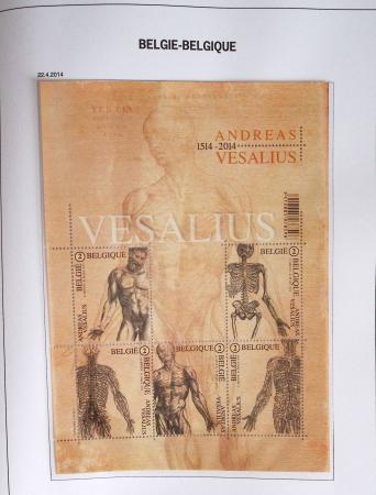 1849-2014 Attractive and extensive collection of Belgium