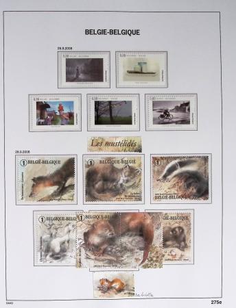 1849-2014 Attractive and extensive collection of Belgium