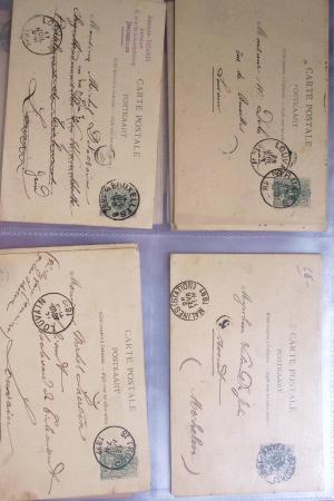 1849-2014 Attractive and extensive collection of Belgium