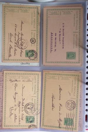 1849-2014 Attractive and extensive collection of Belgium