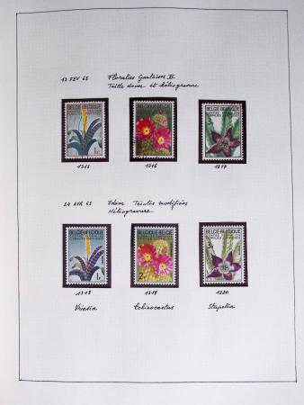 1849-2014 Attractive and extensive collection of Belgium