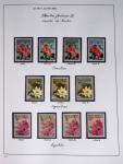 1849-2014 Attractive and extensive collection of Belgium