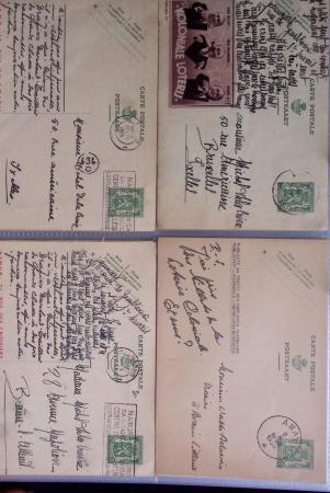 1849-2014 Attractive and extensive collection of Belgium