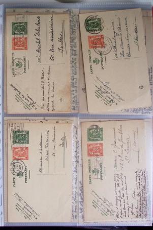 1849-2014 Attractive and extensive collection of Belgium