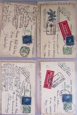 1849-2014 Attractive and extensive collection of Belgium