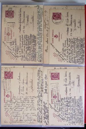 1849-2014 Attractive and extensive collection of Belgium