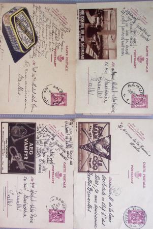 1849-2014 Attractive and extensive collection of Belgium