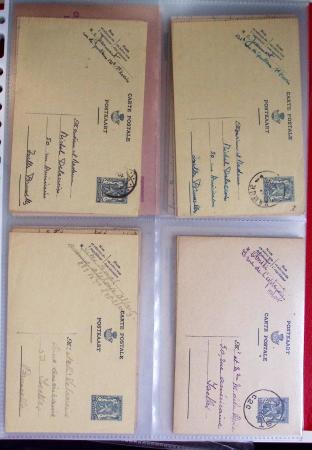 1849-2014 Attractive and extensive collection of Belgium