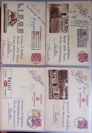 1849-2014 Attractive and extensive collection of Belgium