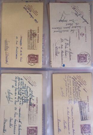 1849-2014 Attractive and extensive collection of Belgium