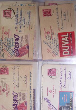 1849-2014 Attractive and extensive collection of Belgium